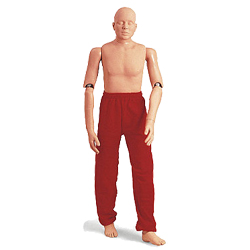 Simulaids Rescue Randy or Rudy Training Manikins