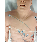 Simulaids 101-12-002L Marquette 12-Lead Arrhythmia Simulator with Ma