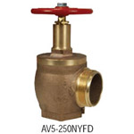 Dixon AV5-250F Valve 500# Angle Hose Valves F x M 1 PK