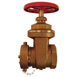 Dixon WDGV251F Valve Non-rising Stem Wedge Disc Gate Valves 1 PK