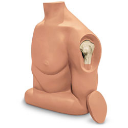 Simulaids 101-205 Humerus Intraosseous (IO) Trainer