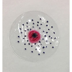 Simulaids 800-715 Intermediate Range Flake