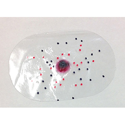 Simulaids 800-716 Intermediate Range Round