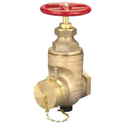 Dixon WDGV250NYFD Valve Non-Rising Stem Wedge Disc Gate Valves F x M 1 PK