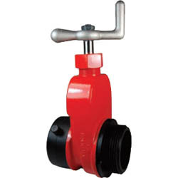 Dixon AHGV250F-I Valve Global Hydrant Gate Valves with Speed Handle 1 PK